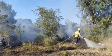 La Policia Local de Tortosa investiga si els incendis han estat provocats