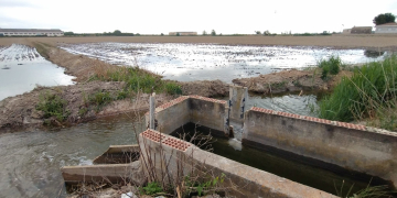 Els regants de l’Esquerra reutilitzaran aigua dels desaigües per regar els arrossars