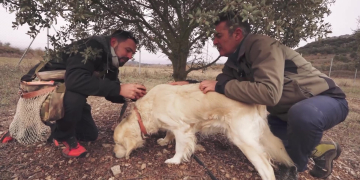 #34 La Conca de Barberà