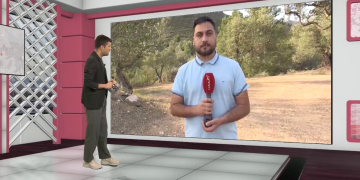 Unió de Pagesos reclama major control a la Reserva de caça dels Ports per a evitar que actue com un reservori de senglars