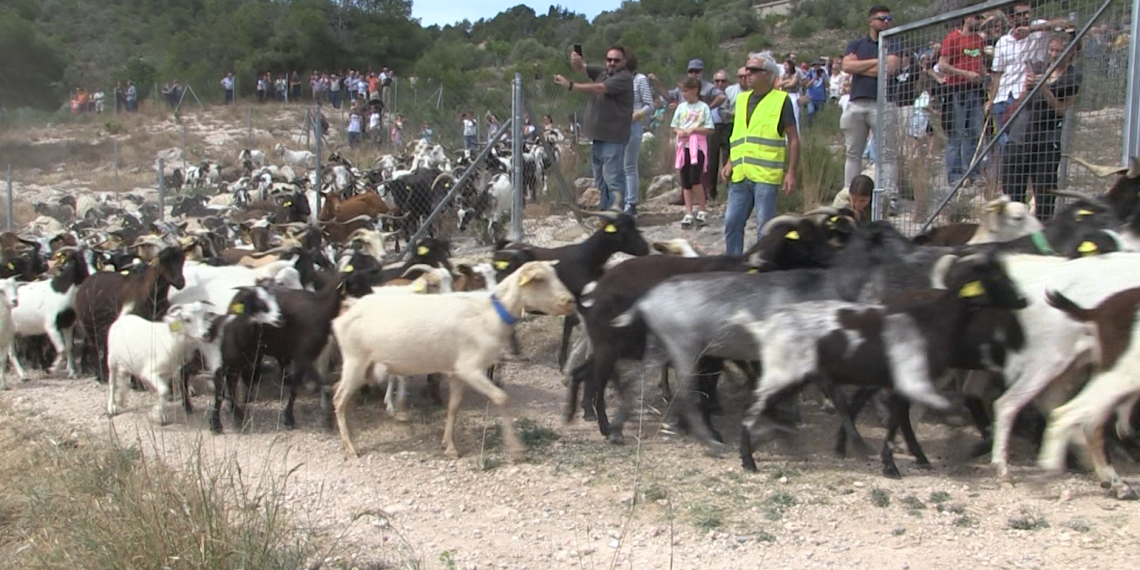 XXXVI Fira Ramadera i d’Artesania de Rasquera