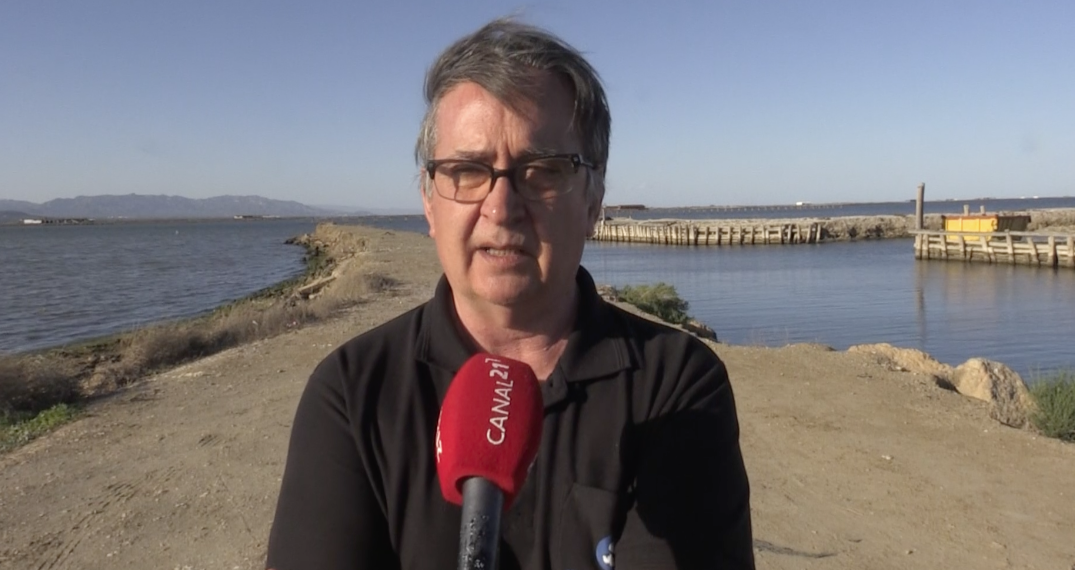 La producció del musclo al Delta caurà un 15% per un mar massa salat i calent