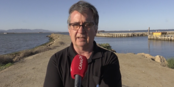 La producció del musclo al Delta caurà un 15% per un mar massa salat i calent