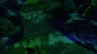 L’EbreLumen clou a Móra d’Ebre amb èxit, tot i els ruixats