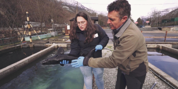 #38 La Vall d’Aran