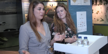 Som(Riu), el nou festival que vol aglutinar la cultura popular amb la contemporània