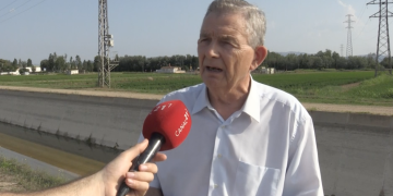 Els Regants de la Dreta preveuen ‘resultats acceptables’ en la collita de l’arròs, tot i el reg intermitent