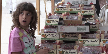 XX Festa de la Cirera de Paüls