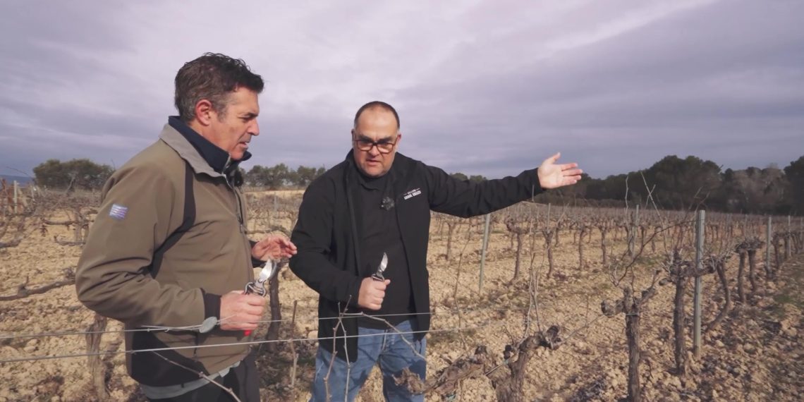 #39 L’Alt Penedès