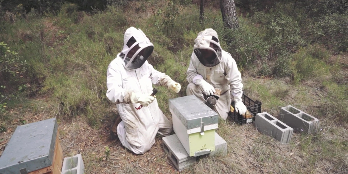 #42 Pla de l’Estany