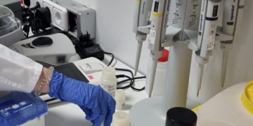 El Projecte Emma podrà invertir en intel·ligència artificial gràcies a les aportacions solidàries