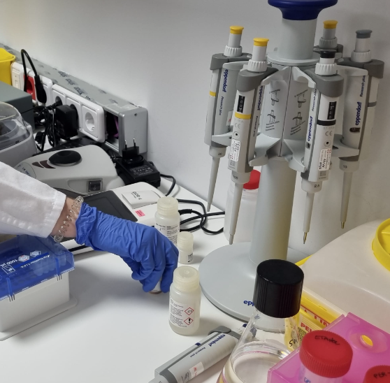 El Projecte Emma podrà invertir en intel·ligència artificial gràcies a les aportacions solidàries