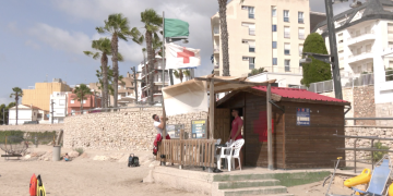 Més picades de medusa a les platges ebrenques per l’augment de la temperatura del mar