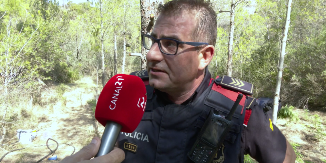 Acompanyem els Mossos d’Esquadra a desmantellar una plantació de marihuana a la Terra Alta