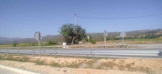 Mor l’exalcalde de Xerta, Jordi Serral Maureso, en un accident a la C-12