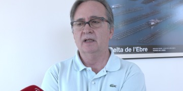 Els productors celebren una bona campanya del musclo al Delta de l’Ebre