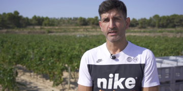 La DO Terra Alta preveu veremar fins a 38 milions de quilos de raïm