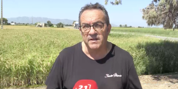 Els pagesos del Delta reclamen que s’inclogui l’arròs sembrat en el decret de sequera