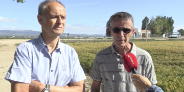 La salinitat i el caragol poma condicionen la previsió d’una campanya d’arròs ‘irregular’ a l’esquerra del Delta