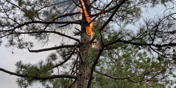 Les Terres de l’Ebre mantenen el perill d’incendi forestal, tot i les pluges