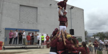 Creació del “Consolat del Bestiari Festiu Català” a Tortosa