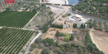 El sector agrari no preveu pèrdues en la producció d’olivera, cítric i arròs per la DANA