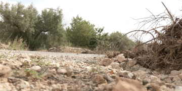 Roquetes es compromet a consensuar una ordenança de camins amb pagesos i veïns