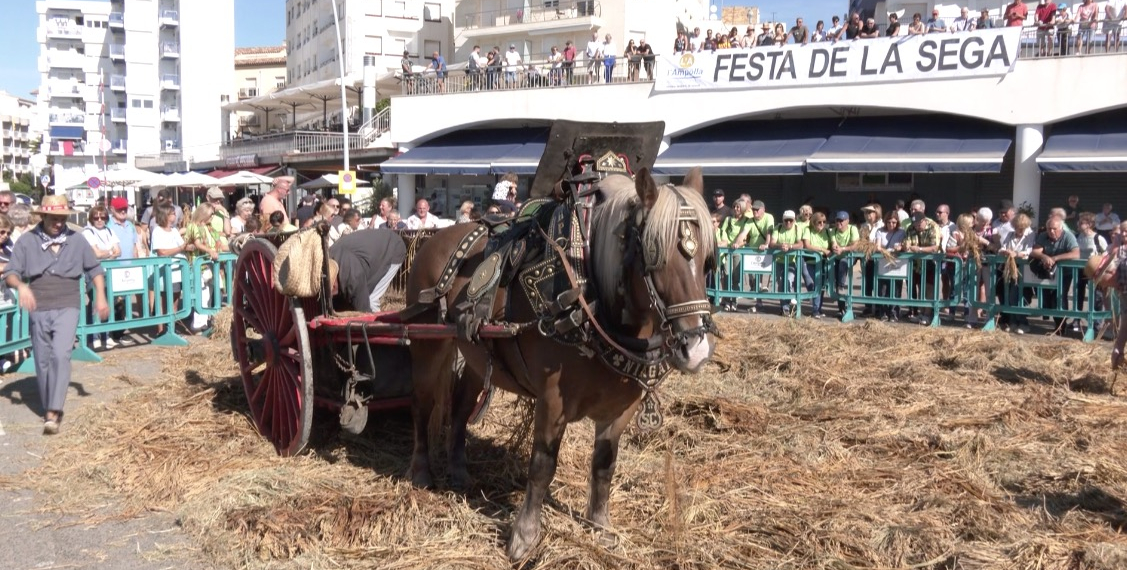 El port pesquer de l’Ampolla recorda les tasques tradicionals de l’arròs