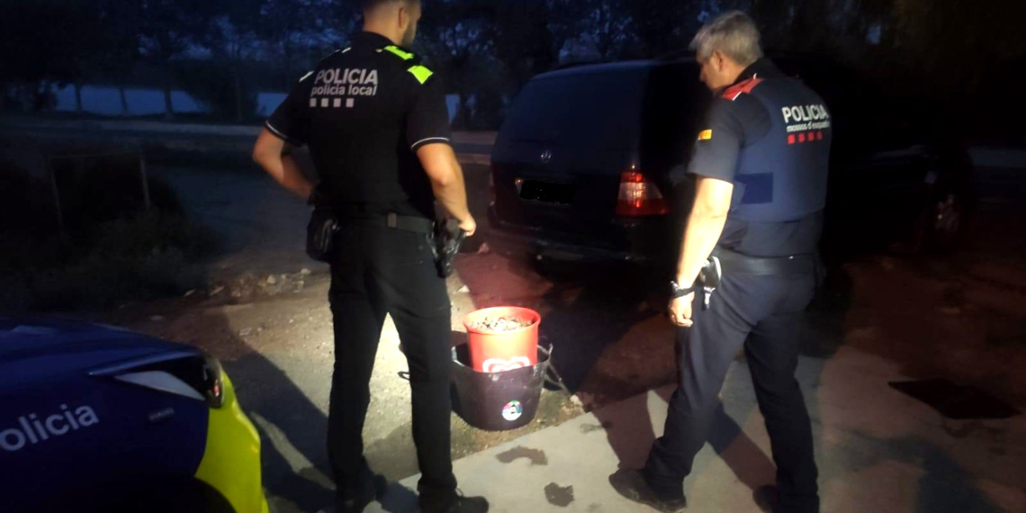 Denunciats dos homes a Deltebre per capturar i transportar 26 quilos de caragol maçana