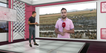 La salinitat, la falta d’aigua i els temporals amenacen la collita d’arròs més complicada que es recorda