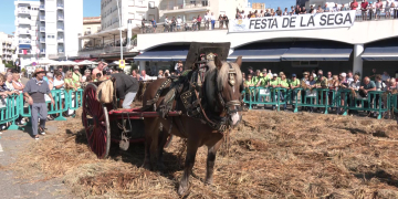 XXII Festa de la Sega de l’Ampolla