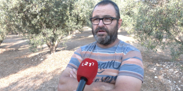 Unió de Pagesos calcula una pèrdua mitjana del 60% de la collita d’oliva