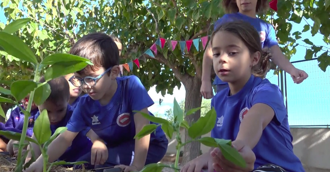 L’horta de l’Aldea, dins l’Escola 21 d’Abril