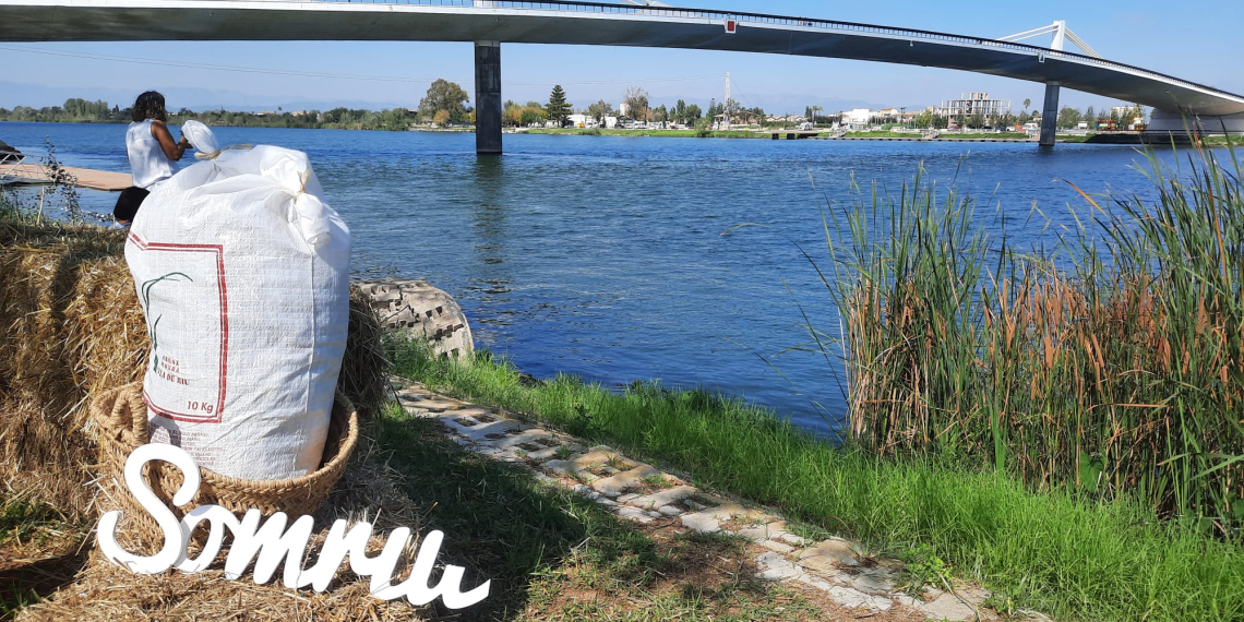 Festa de la Sega de Sant Jaume d’Enveja i XIII Jornades Som Riu