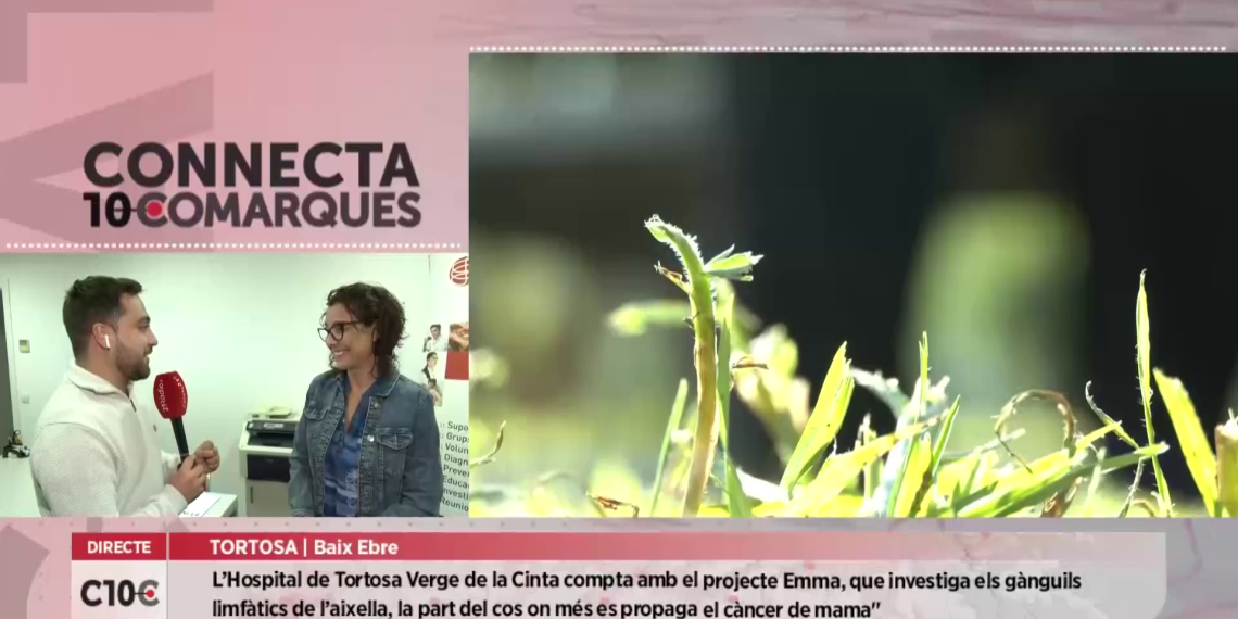 Investigació, prevenció i salut mental, tres factors claus en la lluita contra el càncer de mama