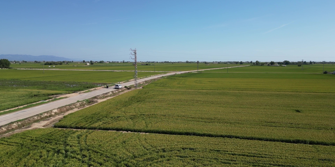 Mor un arrossaire de 44 anys en bolcar el seu tractor mentre treballava a Deltebre