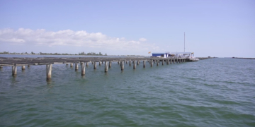 El delta de l’Ebre es pot convertir en la primera explotació de macroalgues de Catalunya