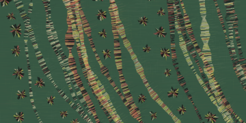 Anna Carreras connecta natura i art generatiu a La Façana de Lo Pati