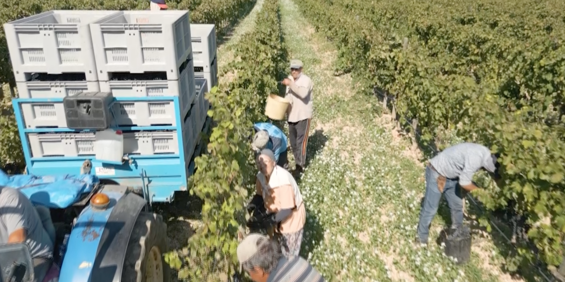 Més de 400 projectes i 200 nous llocs de treball a l’Ebre amb els ajuts Leader