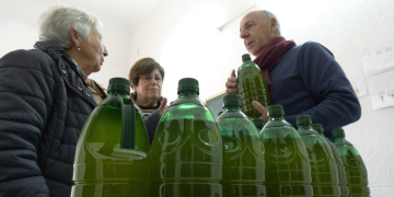 L’Ampolla aprofita l’oli d’oliveres de les zones enjardinades per Càritas