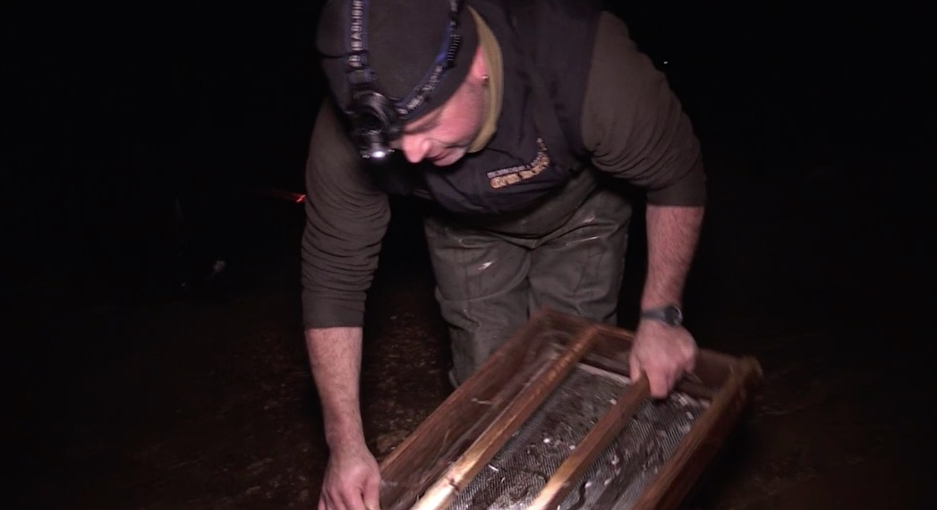 Els pescadors alerten que el canvi climàtic també provoca la pèrdua d’angula