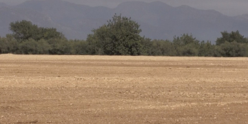 La ponència ambiental dona llum verd a la polèmica planta de compostatge de Santa Bàrbara