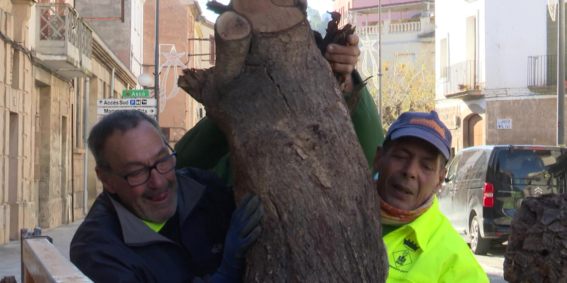 Sant Antoni d’Ascó – Recollida de llenya per les cases del poble
