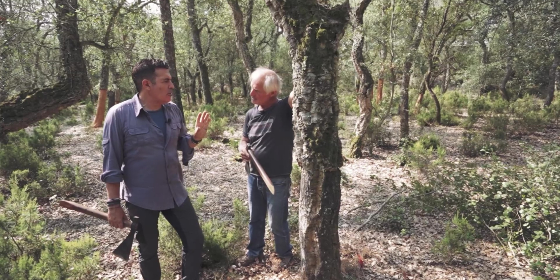 #46 Pelador de suro: “Un diàleg amb l’arbre”