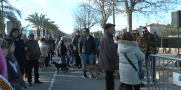 Festa de Sant Antoni a la carretera de Jesús a Roquetes