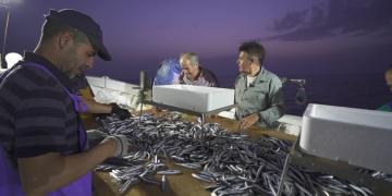 #47 Mariner: “Un art de llum”