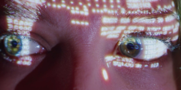 Els joves i les empreses són els més vulnerables als ciberatacs