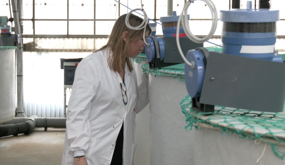 Científiques ebrenques: ‘La dona ja ocupa càrrecs que abans tenien nom d’home’