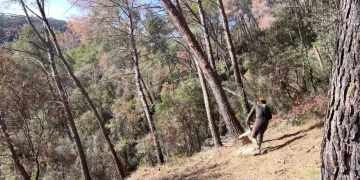 La campanya d’incendis serà la més complicada dels últims 30 anys per la sequera