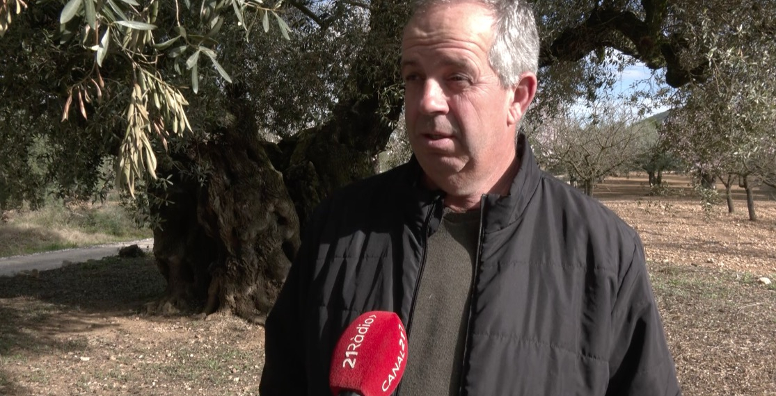 El patrimoni natural de Godall centrarà el projecte Més Museu del Montsià al març